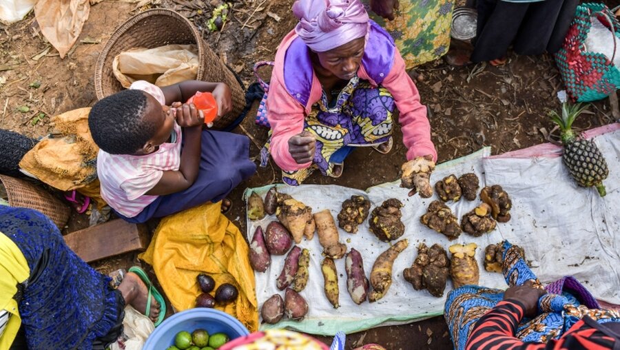 Markt im Kongo / © Harald Oppitz (KNA)