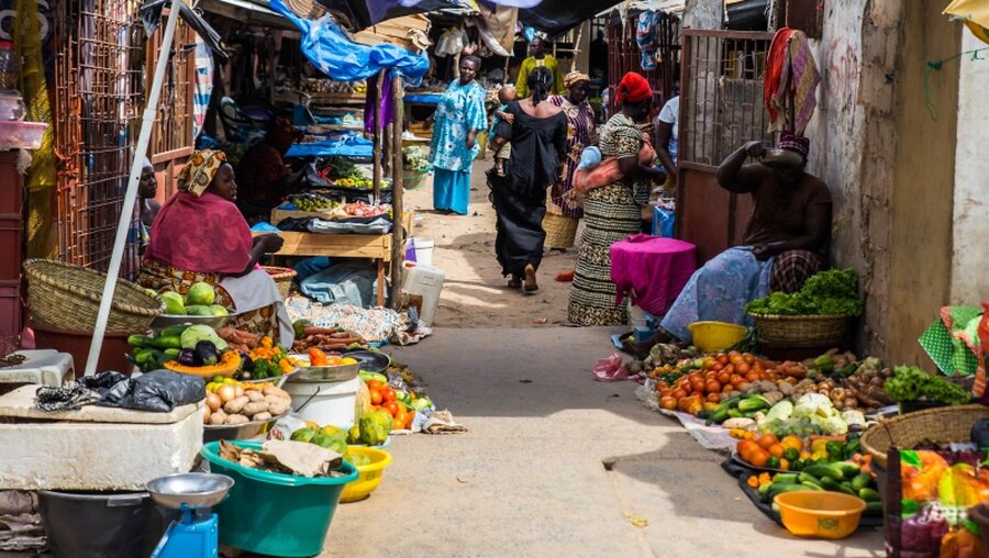 Markt im Senegal / © Damian Pankowiec (shutterstock)