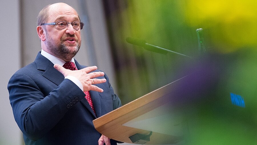 Martin Schulz / © Marius Becker (dpa)