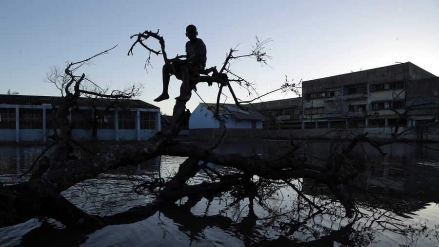 Mosambik, Beira: Ein Junge sitzt auf einem umgestürzten Baum vor einer Schule. / © Themba Hadebe (dpa)