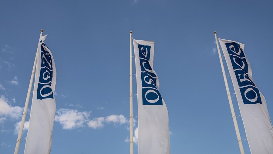 OSZE-Flaggen vor einem Kongresszentrum / © Karl Allen Lugmayer (shutterstock)