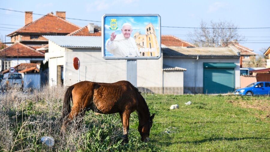 Papst Franziskus auf Werbeplakat / © Harald Oppitz (KNA)