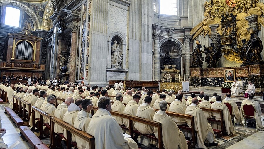 Papst Franziskus feiert Gottesdienst mit Missionaren der Barmherzigkeit / © Paolo Galosi (KNA)