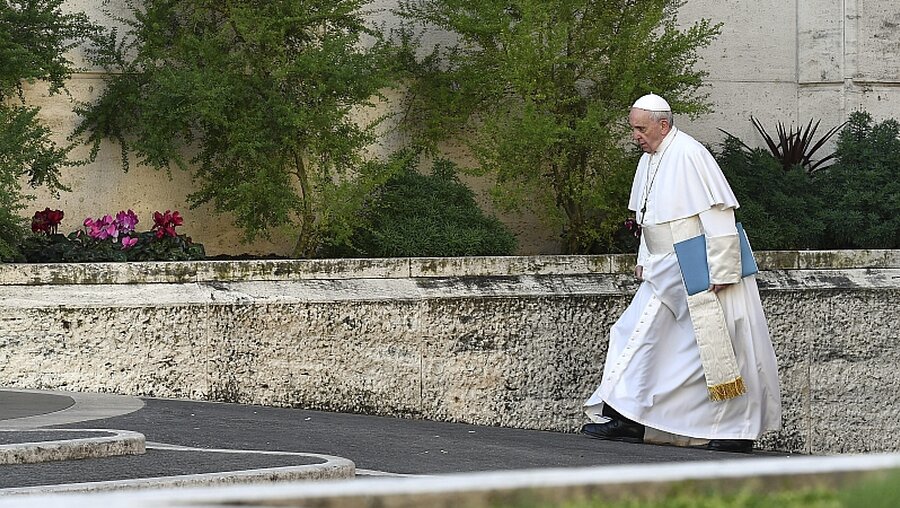 Mit Verschwörungstheorien gegen den Papst / © Vincenzo Pinto (dpa)
