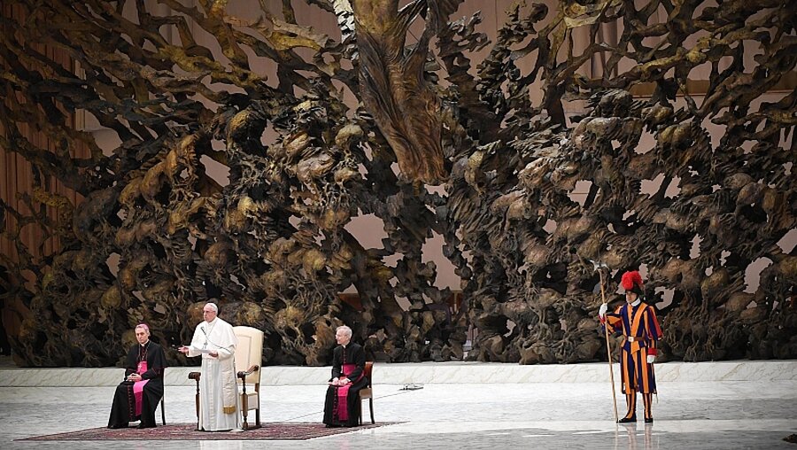 Papst Franziskus bei der Generalaudienz / © Claudio Peri/ANSA (dpa)