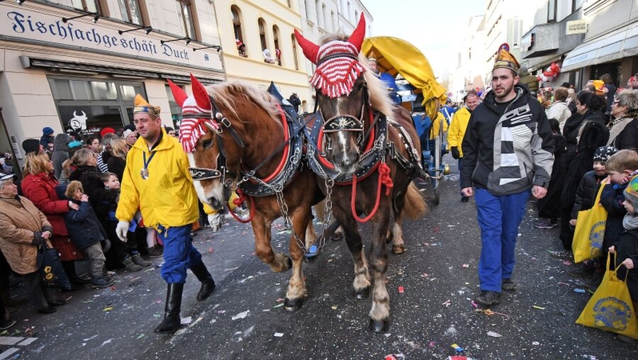 Pferde im Karnevalsumzug / © Henning Kaiser (dpa)