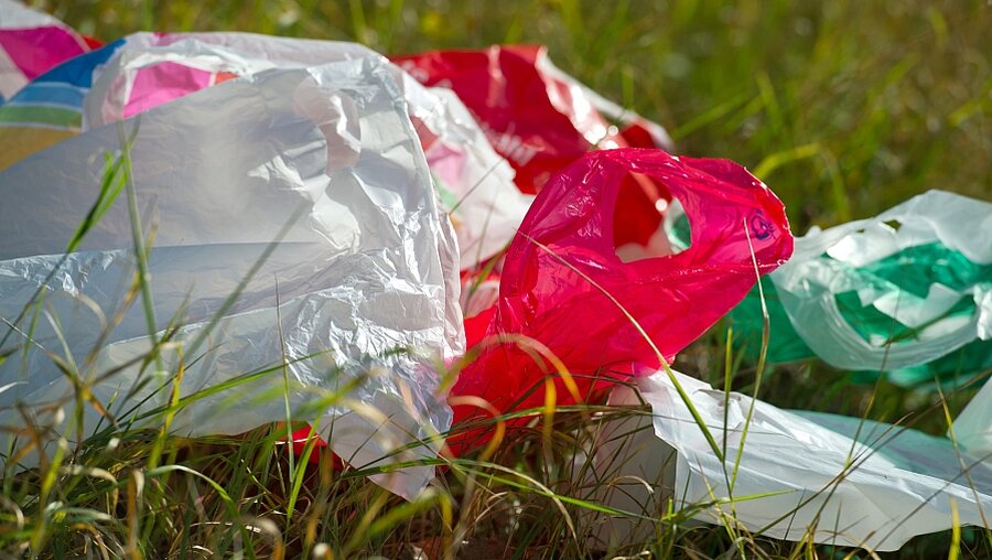 Plastiktüten verschmutzen die Umwelt (dpa)
