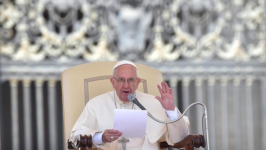 Papst Franziskus bei der Generalaudienz / © Ettore Ferrari (dpa)