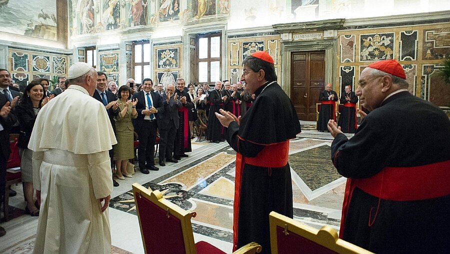 Franziskus bei der Audienz für den Päpstlichen Laienrat / © Osservatore Romano/Handout (dpa)