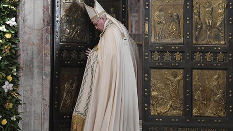 Der Papst schließt die Heilige Pforte wieder / © Maurizio Brambatti (dpa)