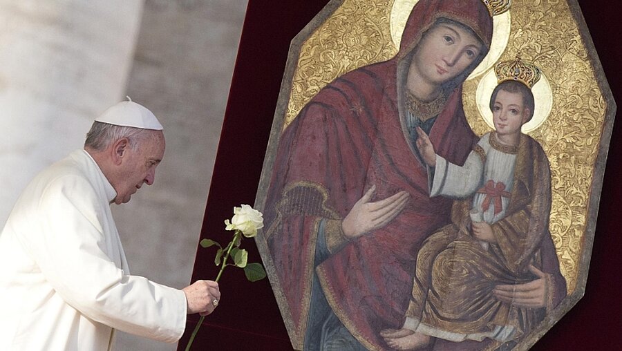 Papst Franziskus mit weißer Rose / © Claudio Peri (dpa)