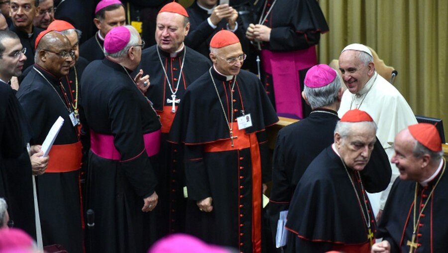 Der Papst mit Synodenteilnehmern (KNA)