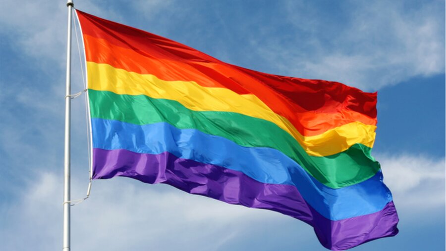 Regenbogenflagge als Symbol für Homosexualität / © Natasha Kramskaya (shutterstock)