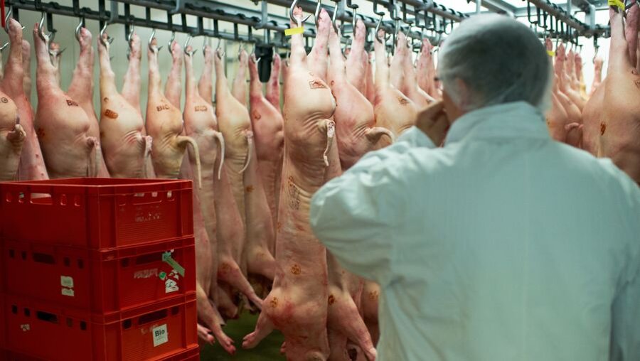 In der Fleischindustrie arbeiten viele Werkvertragsarbeiter (dpa)