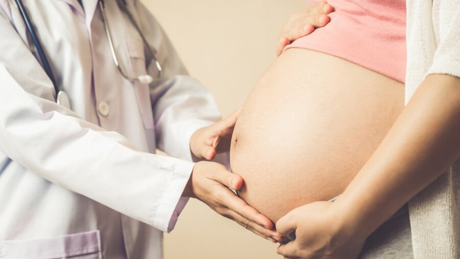 Schwangere mit Ärztin / © Blue Planet Studio (shutterstock)
