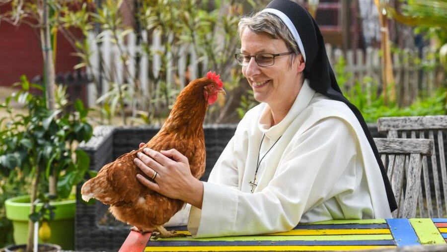 Schwester Jordana Schmidt, Ordensfrau der Dominikanerinnen von Bethanien und Kinderdorfmutter, streichelt ein Huhn / © Harald Oppitz (KNA)