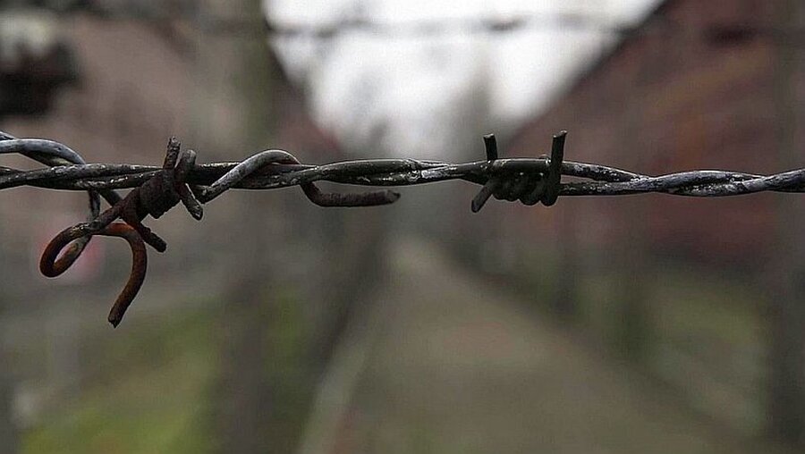 Jahrestag der Wannsee-Konferenz: Politik gedenkt Opfern des Holocaust / © Reuters (Reuters)