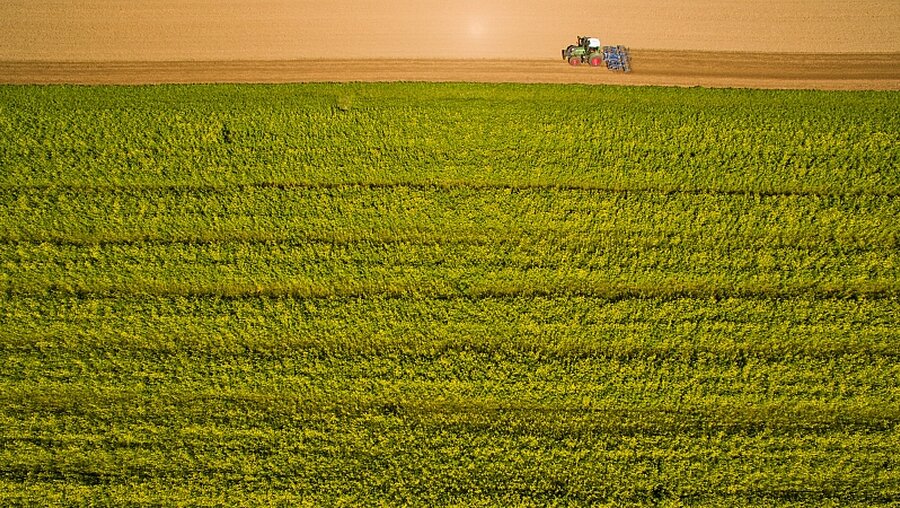 Agrobusiness" – mechanisierte, stark industrialisierte Landwirtschaft vergisst Menschen und Umwelt  / © Hauke-Christian Dittrich (dpa)