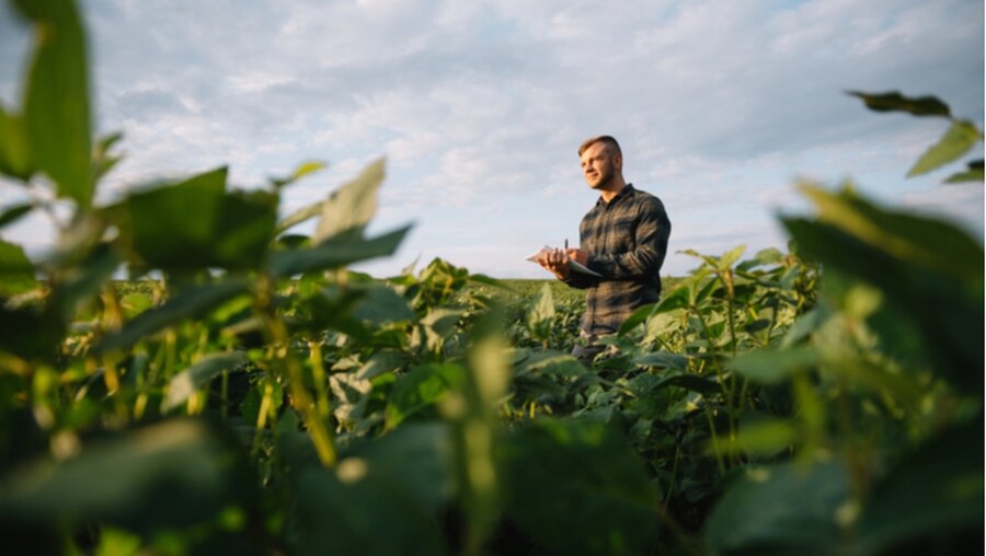 Symbolbild: Landwirt auf seinem Feld / © Hryshchyshen Serhii (shutterstock)