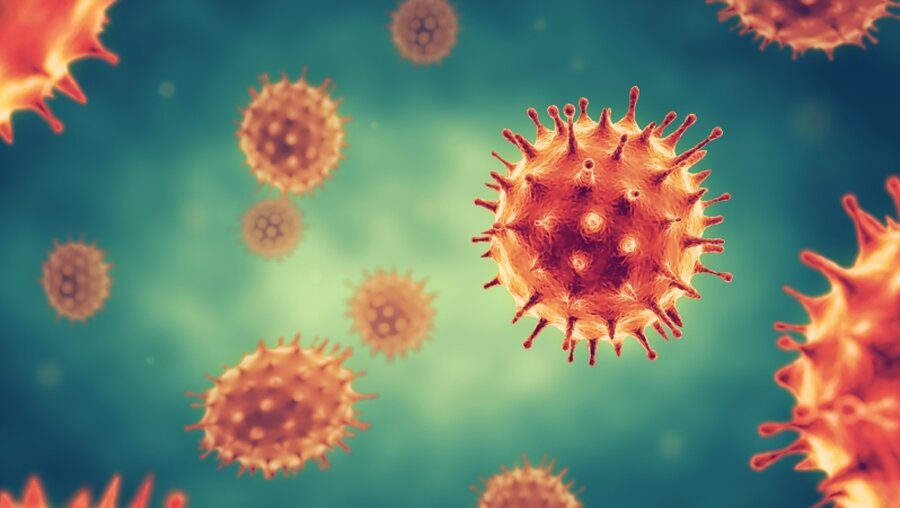Symbolbild Viruszellen / © ffikretow@hotmail.com (shutterstock)