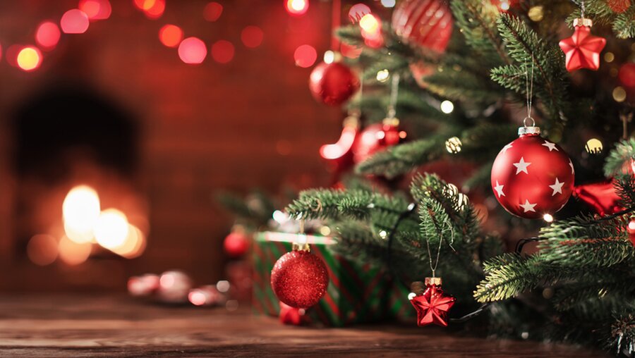 Symbolbild Weihnachtsbaum und weihnachtliche Dekoration / © Pasko Maksim (shutterstock)