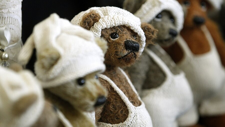 Der Teddybär ist ein beliebtes Kuscheltier / © Roland Weihrauch (dpa)