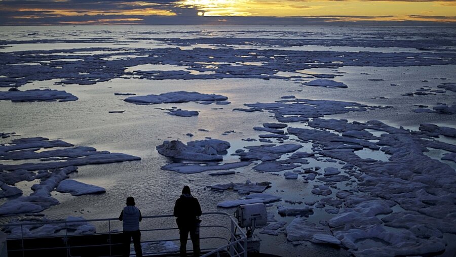 Treibeis in der Arktis / © David Goldman (dpa)
