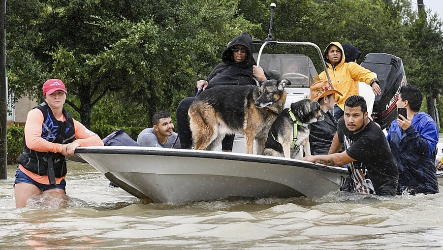 Freiwillige und Ersthelfer beim Tropensturm "Harvey"  / © Scott Clause (dpa)
