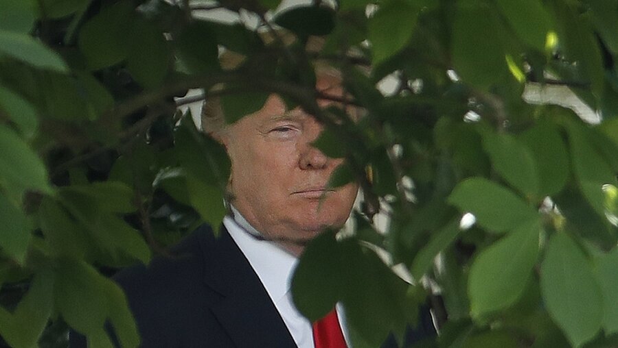 Trump im Rosengarten vom Weißen Haus / © Pablo Martinez Monsivais (dpa)