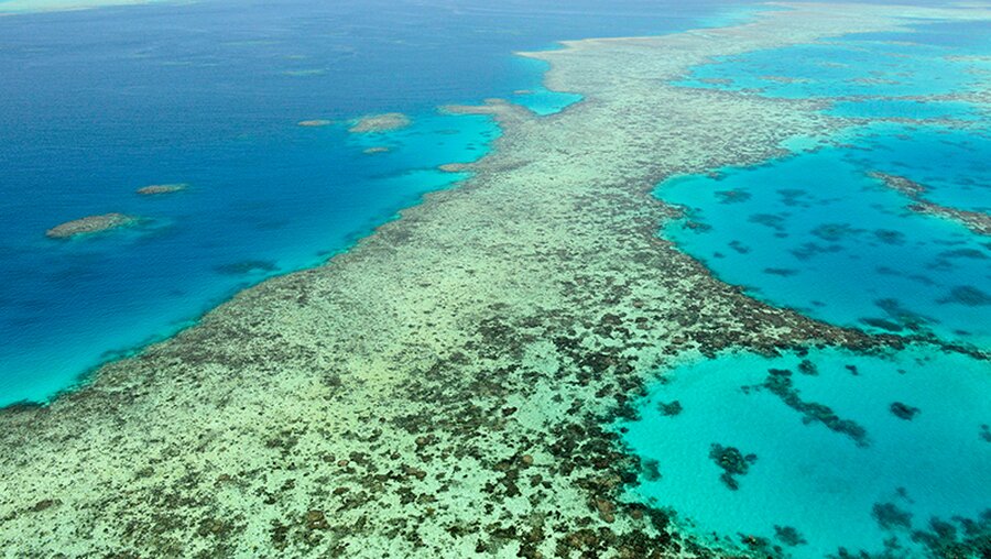 Unesco-Welterbe - Great Barrier Reef in Australien ist bedroht (dpa)