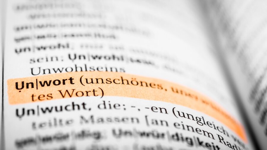 Unwort des Jahres im Wörterbuch / © David-Wolfgang Ebener (dpa)
