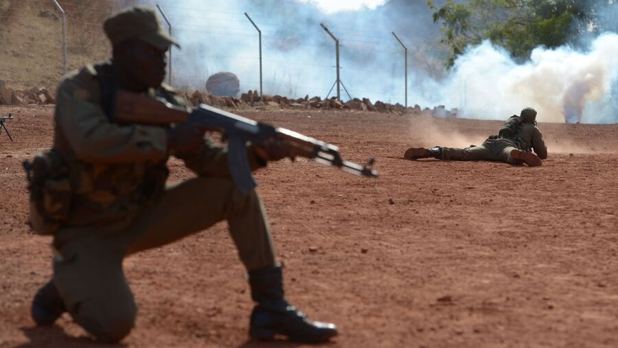 Ausbildung malischer Soldaten (dpa)