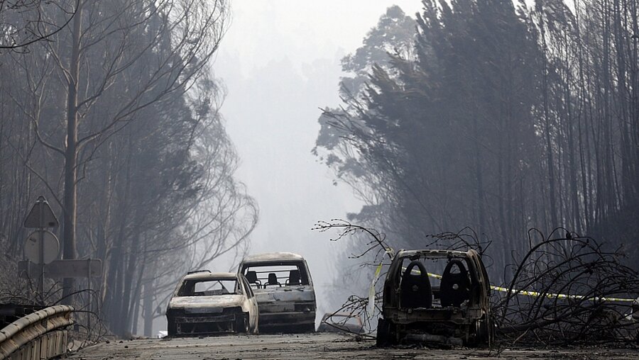 Der schwerste Waldbrand seit mehr als 50 Jahren in Portugal / © Armando Franca (dpa)