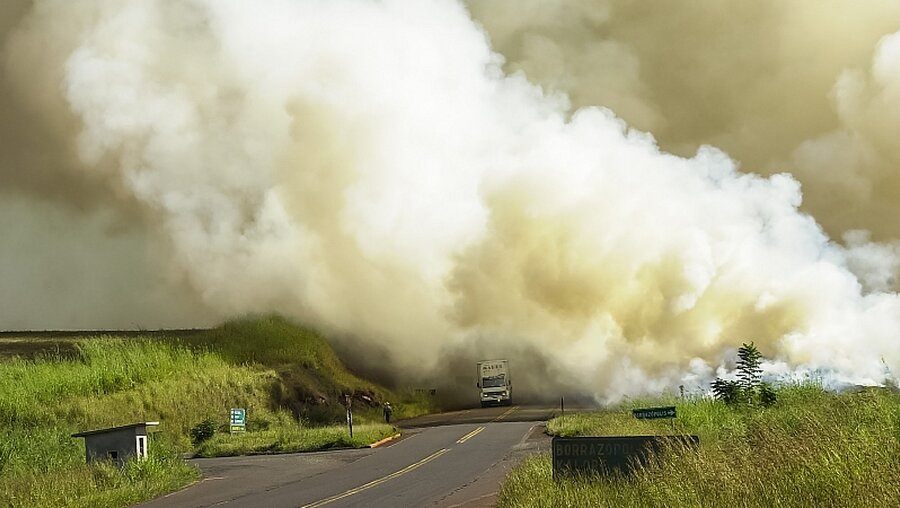 Große Rauchwolken bei einem Waldbrand / © Jair Ferreira Belafacce  (shutterstock)
