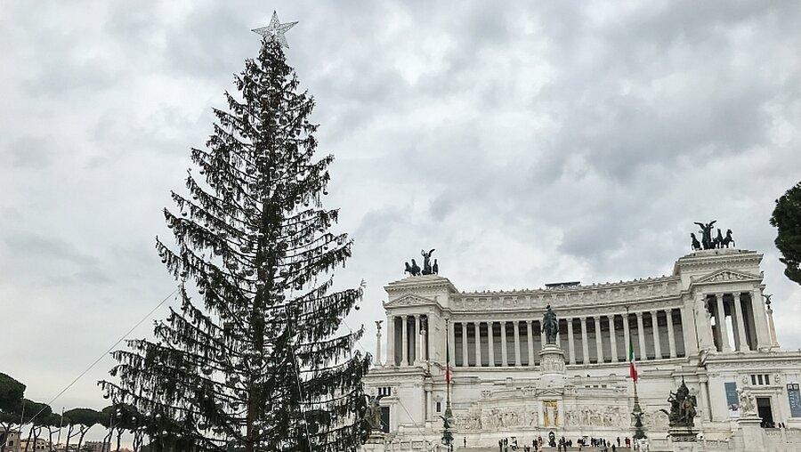 Weihnachtsbaum auf der Piazza Venezia in Rom / © Roland Juchem (KNA)