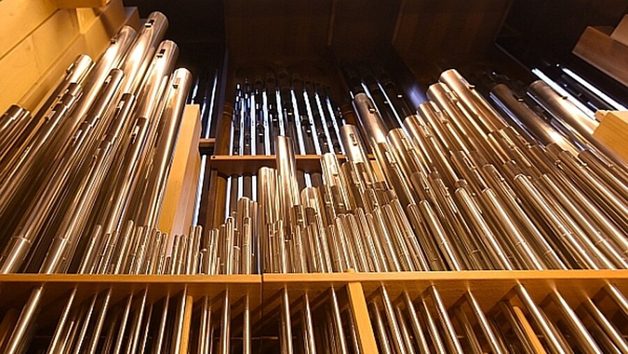 Welche wird die Orgel des Jahres? / © Harald Oppitz (KNA)