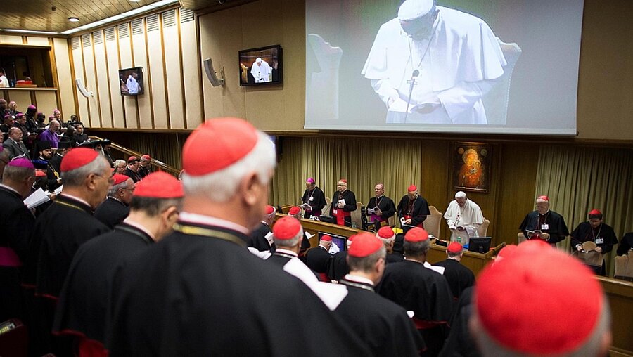Papst Franziskus spricht zu den Bischöfen / © Osservatore Romano / Handout (dpa)