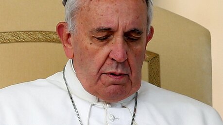 Papst Franziskus während der Generalaudienz am 13. November 2013 (KNA)