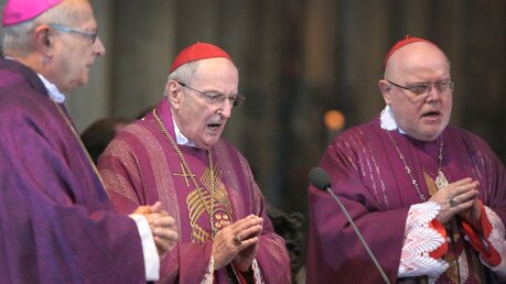 Erzbischof Zollitsch, Kardinäle Meisner, Marx (Verabschiedung 2014) (dpa)