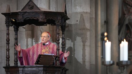 Predigt Kardinal Meisner (Verabschiedung 2014) / © dpa (dpa)