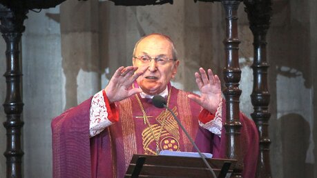 Predigt Kardinal Meisner (dpa)
