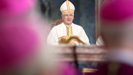 Heinrich Timmerevers ist neuer Bischof von Dresden-Meißen / © Arno Burgi (dpa)