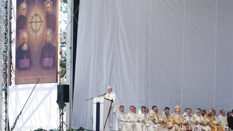 Franziskus feiert eine Messe mit der Seligsprechung von sieben rumänischen Märtyrern. / © Paul Haring (KNA)