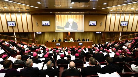 Bischöfe, Kardinale und Ordensleute während des Anti-Missbrauchsgipfels am 23. Februar 2019 im Vatikan. (KNA)