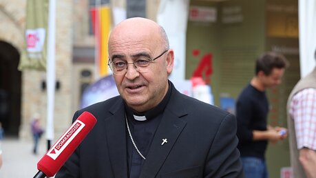 Bischof Grgić spricht über die Arbeit der Katholiken in der Diaspora (DR)