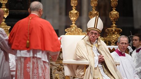Papst Franziskus im Petersdom / © Maurizio Brambatti (dpa)