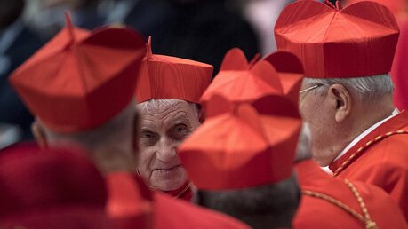 ...16 Bischöfe und einen Priester in den Kardinalsrang erhoben. / © Maurizio Brambatti (dpa)