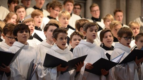 Der Chornachwuchs aus den vierten Schuljahren darf zum zweiten Mal zur Probe im Dom mitsingen / © Beatrice Tomasetti (DR)
