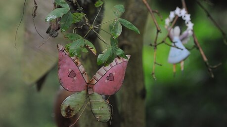 Der Schmetterling an einem Grab ist ein Symbol für Verwandlung. / © Beatrice Tomasetti (DR)