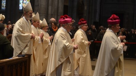 Die Domkapitulare und Kölner Weihbischöfe bei der feierlichen Einzugsprozession / © Beatrice Tomasetti (DR)